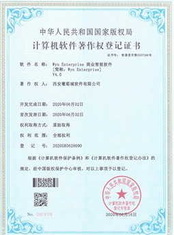Wyn Enterprise-计算机软件著作权登记证书